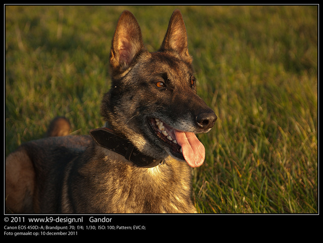 Gandor als oefenobject