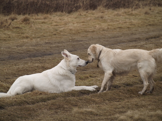 Zo eens even zien wie jij bent hoor