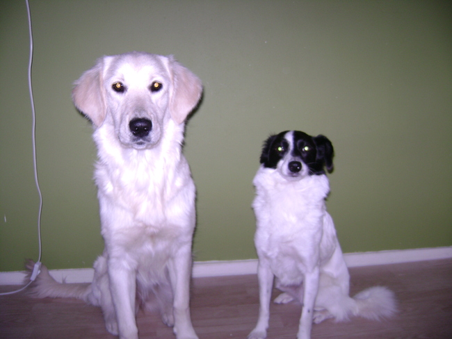 Blondie en Jessy