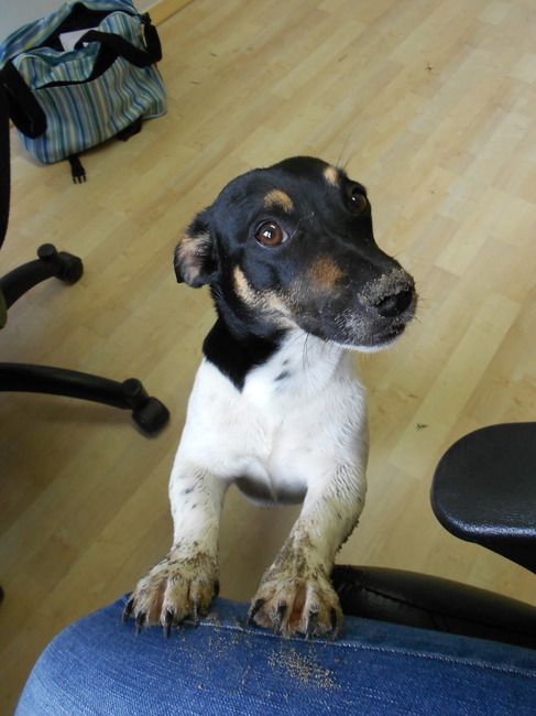 Check mijn vieze poten....is even kijken of vrouwtje mij nog steeds adorable vind....smileeee hehehe