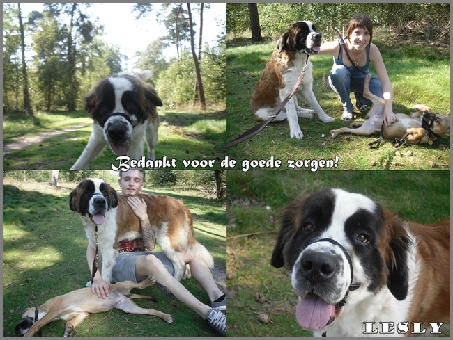 Aan het asiel gegeven :)