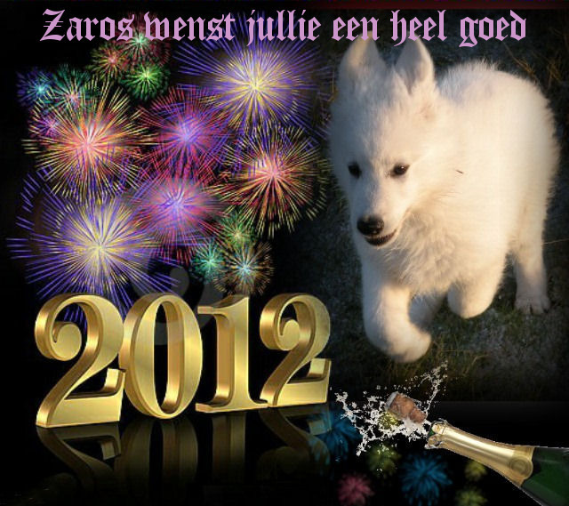 Zaros wens jullie een heel goed 2012