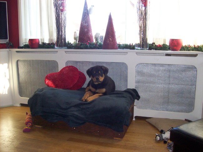 lekker op mijn troontje