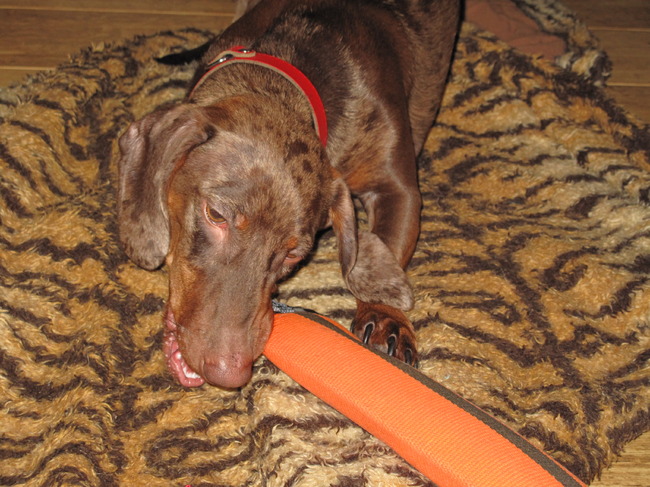 Volgens mij moet dit ook wel weer lukken, hoe bedoel je super sterke brandweerslang met piepers ?