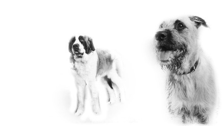 mijn poppemiekes
Bewerkt door Maks&Fenna