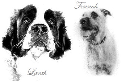 mijn liefde, mijn passie, mijn alles <3