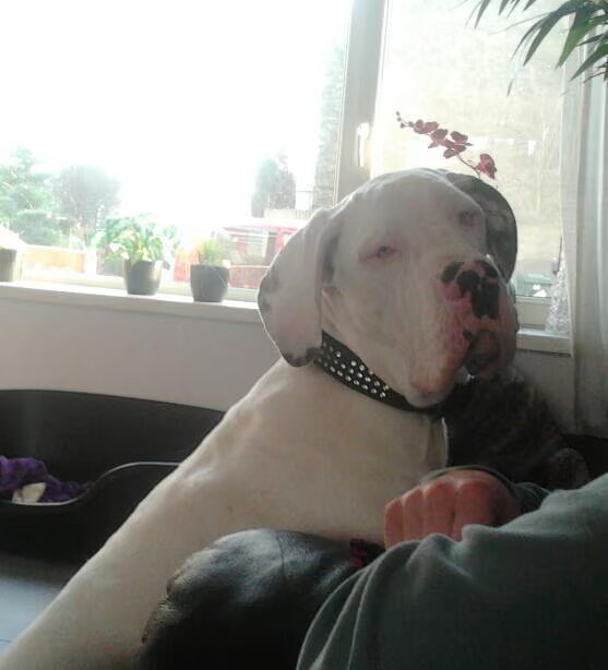 Foto van José • Rover
