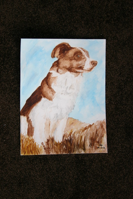 Border Collie aquarel
