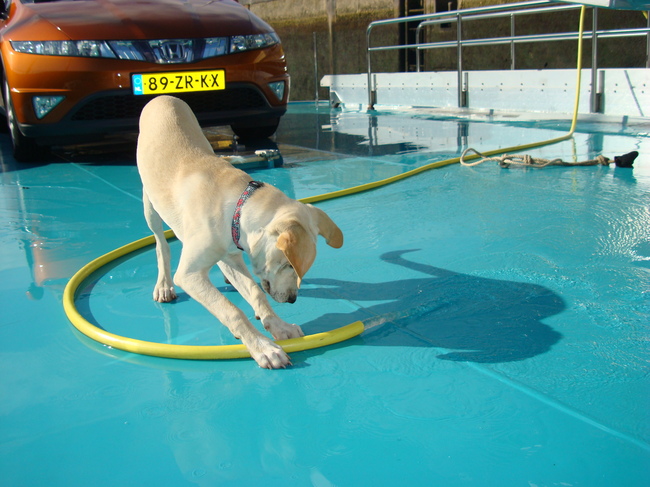ik ben aan het boenen
