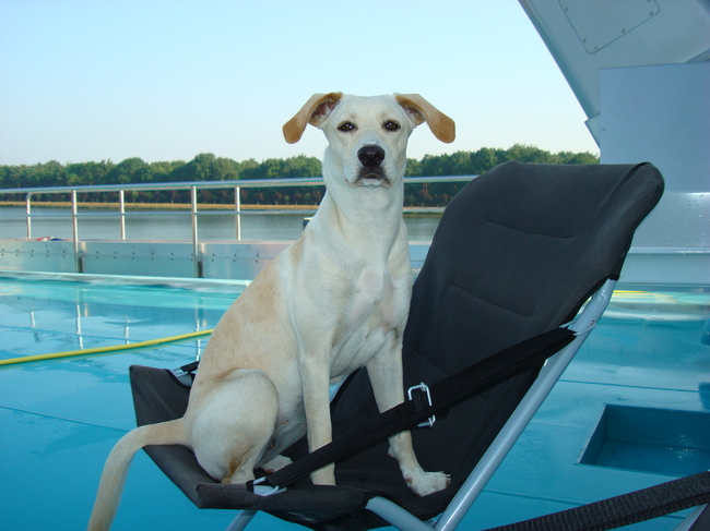 zo krijg ik ook iets lekkers