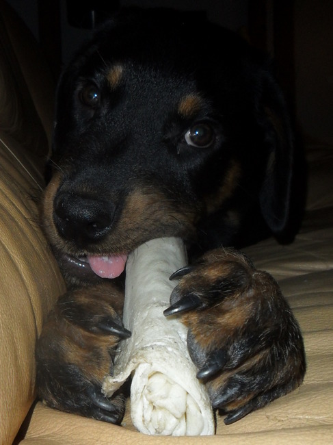 Yummmieeeee ! (15 weken)