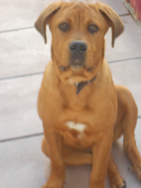 een grote en fiere meid ons angel