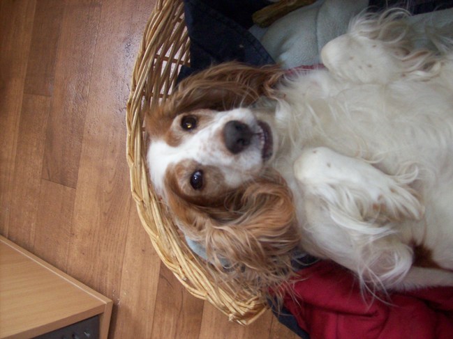 kijk ik zo grappig genoeg!