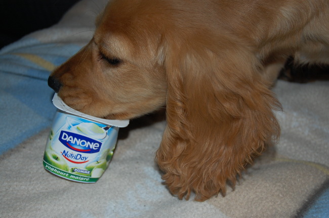 je zet iets op tafel en hupla ze is er mee lopen