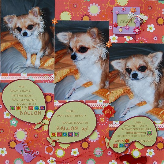 Dat een ballon toch zoo interessant kan zijn!