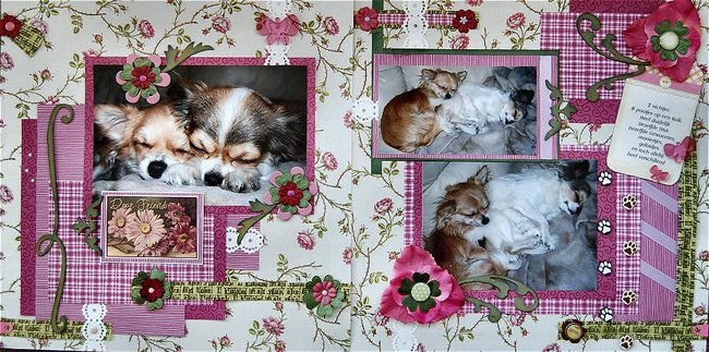 8 Voetjes op een buikje..