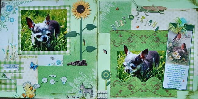 Mijn kleine meisje in 2009.
Alle sprietjes waren voor haar te hoog..