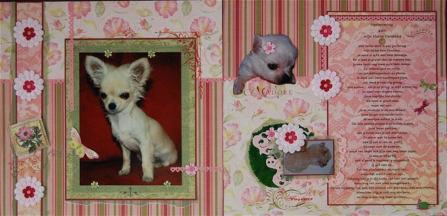 Kleine Vanessa...mocht maar 4 en halve maand oud worden...