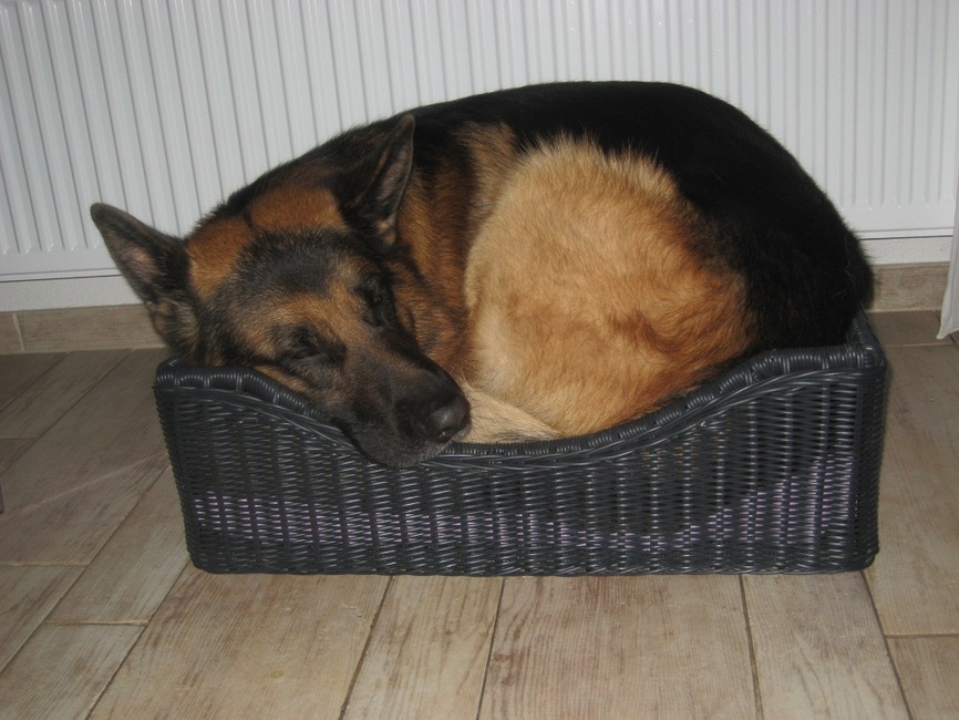 Met een beetje moeite past alles.