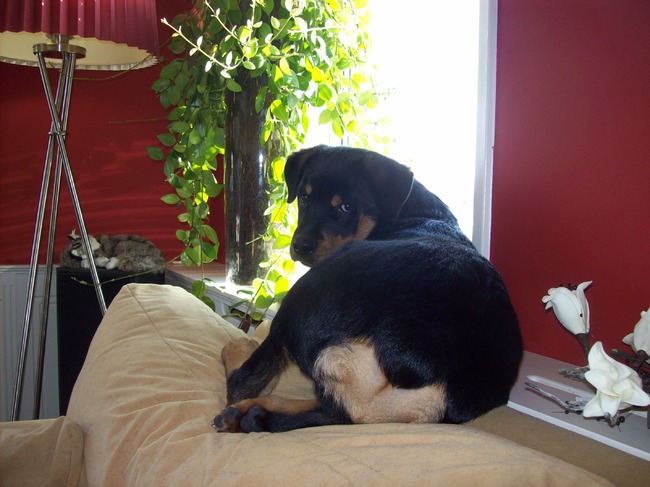 lekker in het zonnetje 