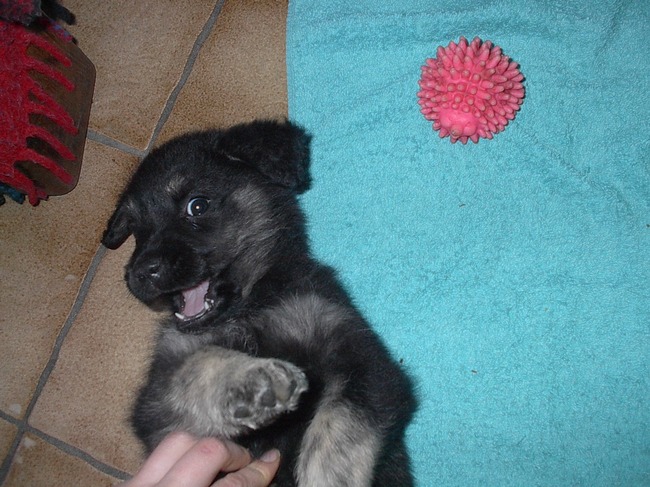 Rusty feb 2002 - smile :D