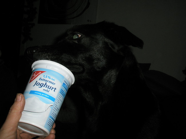 Jelly weet zeker dat er nog iets inzit ook al is het bakje leeg.