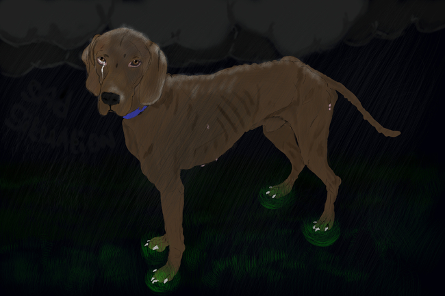 Deze heb ik gemaakt voor het asiel waar ik werk.
de foto van de hond in real zet ik ook online ^^
... hééél sielig de eerste keer dat ik hem aaide heb ik siriEUs gehuilt.