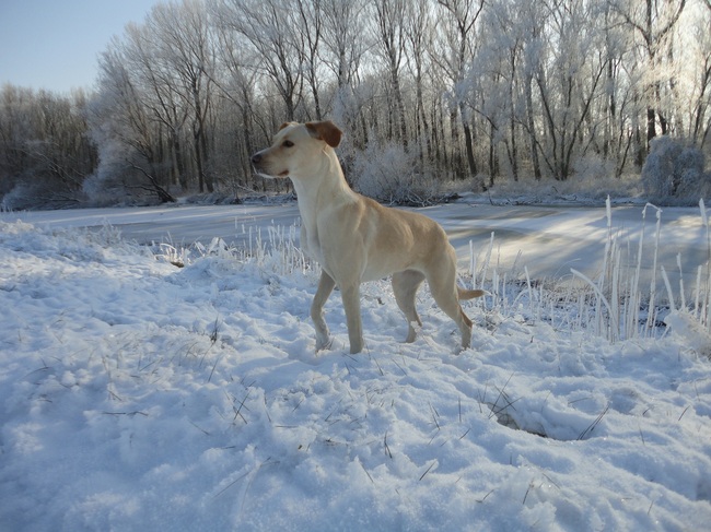 G-berg. januari 2012