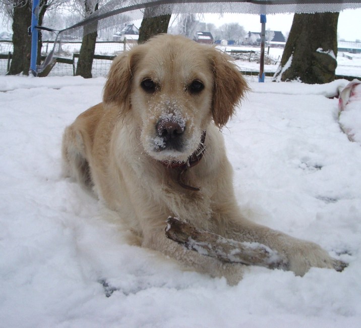 Lieve Kyra in de sneeuw hihi :)