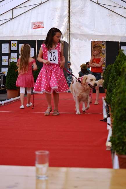 Abby kaapt de eerste prijs weg als mooiste hond van onze gemeente 2011