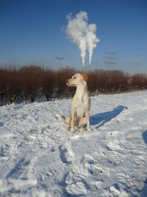 Geertruidenberg januari 2012