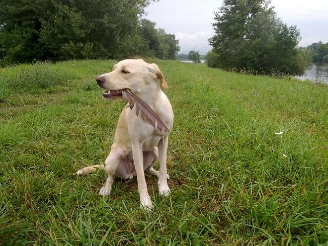 Kirra heeft de laatste indiaan opgegeten