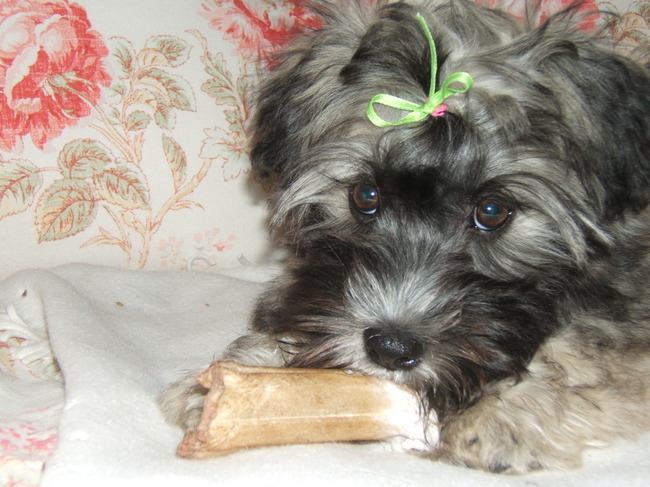 Charlotte is TE schattig