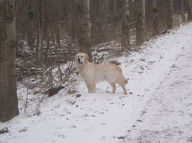 En hier ben ik 9 maanden wat een kerel he?