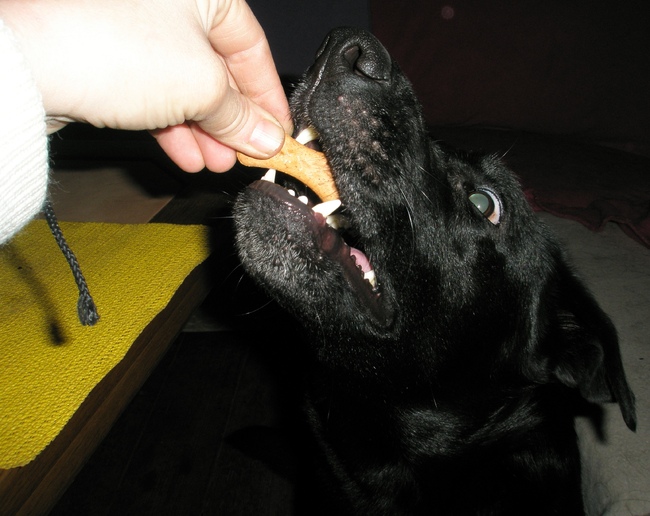 Jelly is braaaaaafff :)