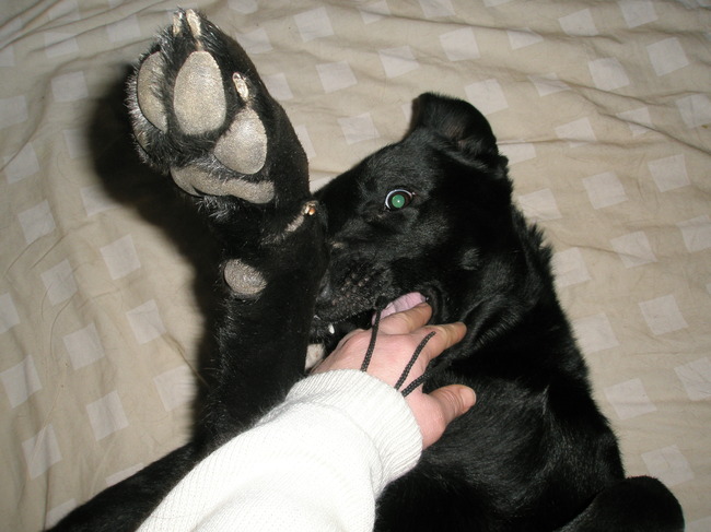 Even spelen met het vrouwtje en kauwen op haar hand :)