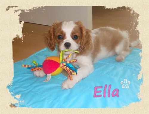 Toen Ella nog een echte mini-Ella was
