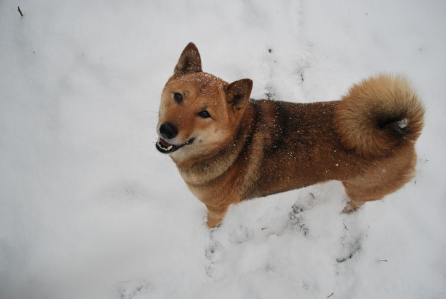 Yuuka in de sneeuw 2012 februari