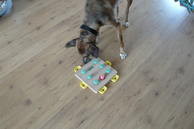 Junto en Karliepuzzel