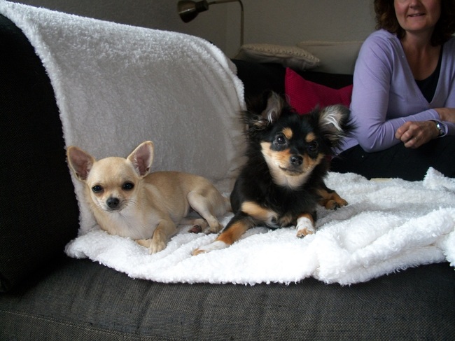 Bij vrienden met Lucca, het halfbroertje van Kaya.
Lucca was helemaal verliefd op de de kleine Tinkie!