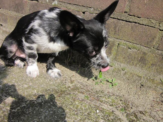 Even proeven of dat lekker is :p