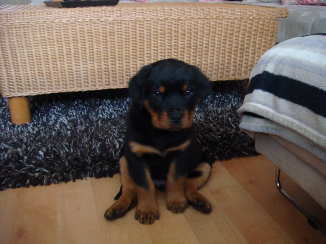 Boeda 8 wkn net bij ons in huis