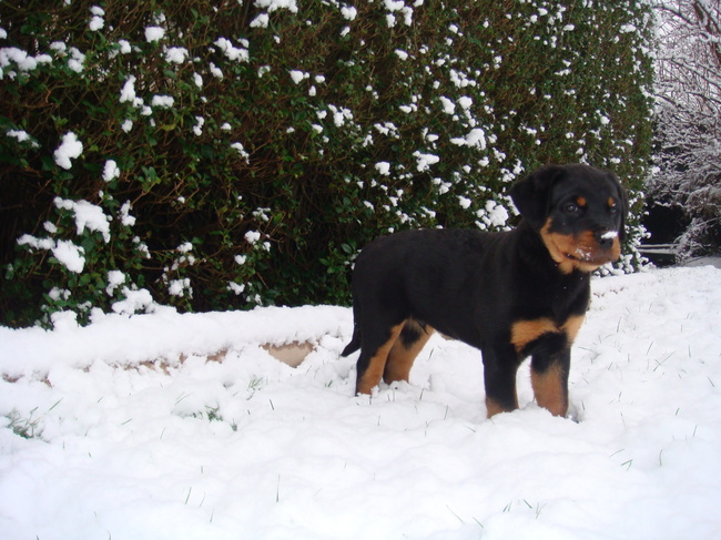 voor het eerst in de sneeuw..helemaal te gek