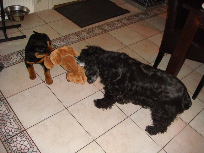 samen met Fleurtje (dec 2011) mijn grote voorbeeld