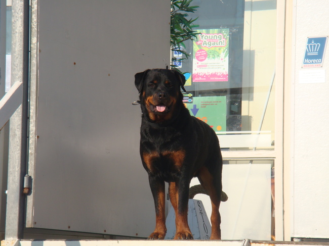 2 jaar en een echte vent