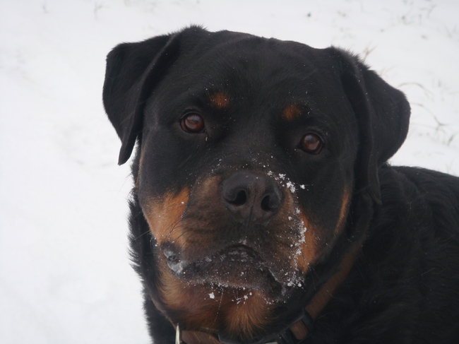dit ben ik dus..aangenaam Boeda