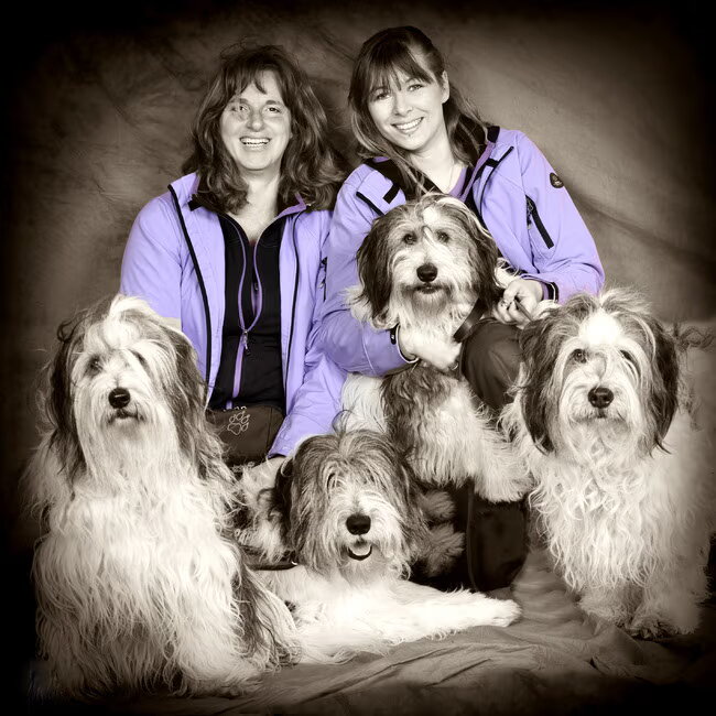 Wij zetten onze Nizinny's in als therapiehond. Meer info…