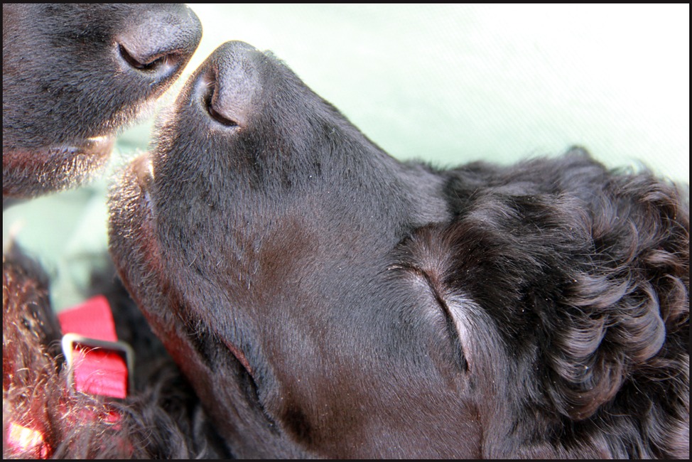 Kirito toen hij nog een 