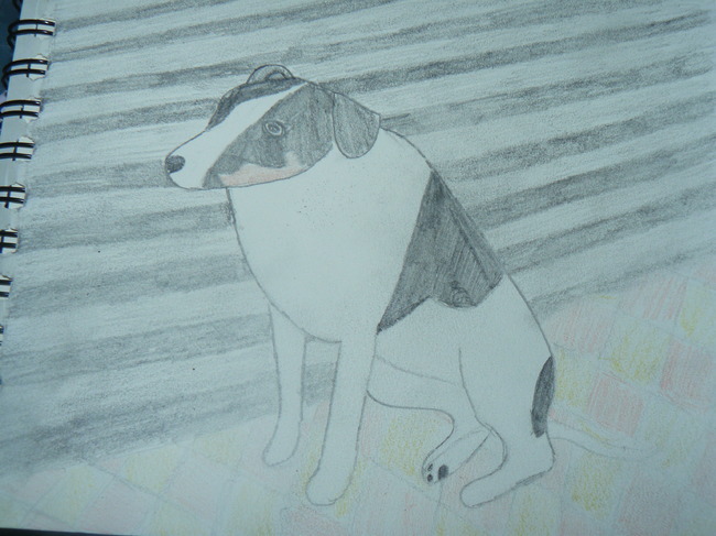 getekent door T&dogs