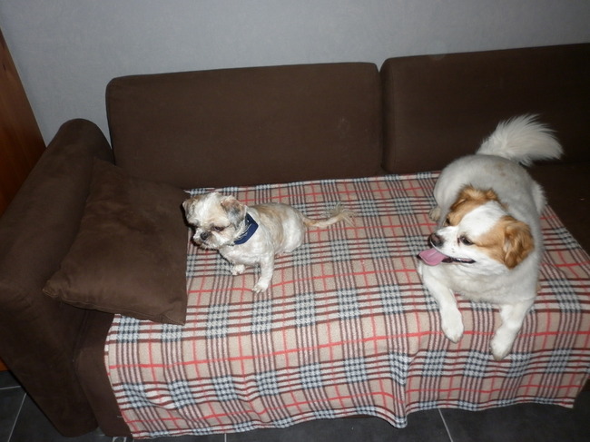 2de foto van de eerste dag.